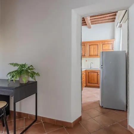 - Piazza Dell'anfiteatro Apartment! דירה *